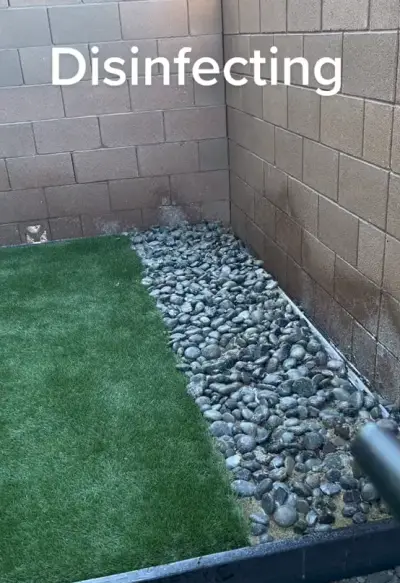 Lawn cleanup is really important!