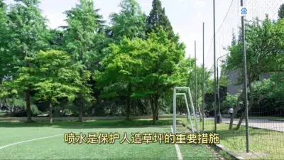 Artificial Turf Maintenance