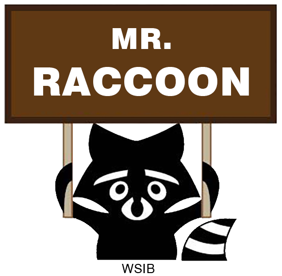 Mr Raccoon