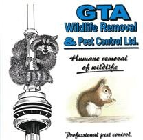 GTA Wildlife Removal & Pest Control