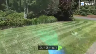 Liquid sod